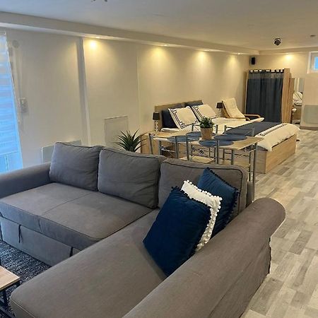 Tres Bel Appartement Type Loft De 40 M2 Dans Maison Avec Parking Privatif Lingolsheim Extérieur photo