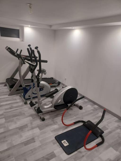 Tres Bel Appartement Type Loft De 40 M2 Dans Maison Avec Parking Privatif Lingolsheim Extérieur photo