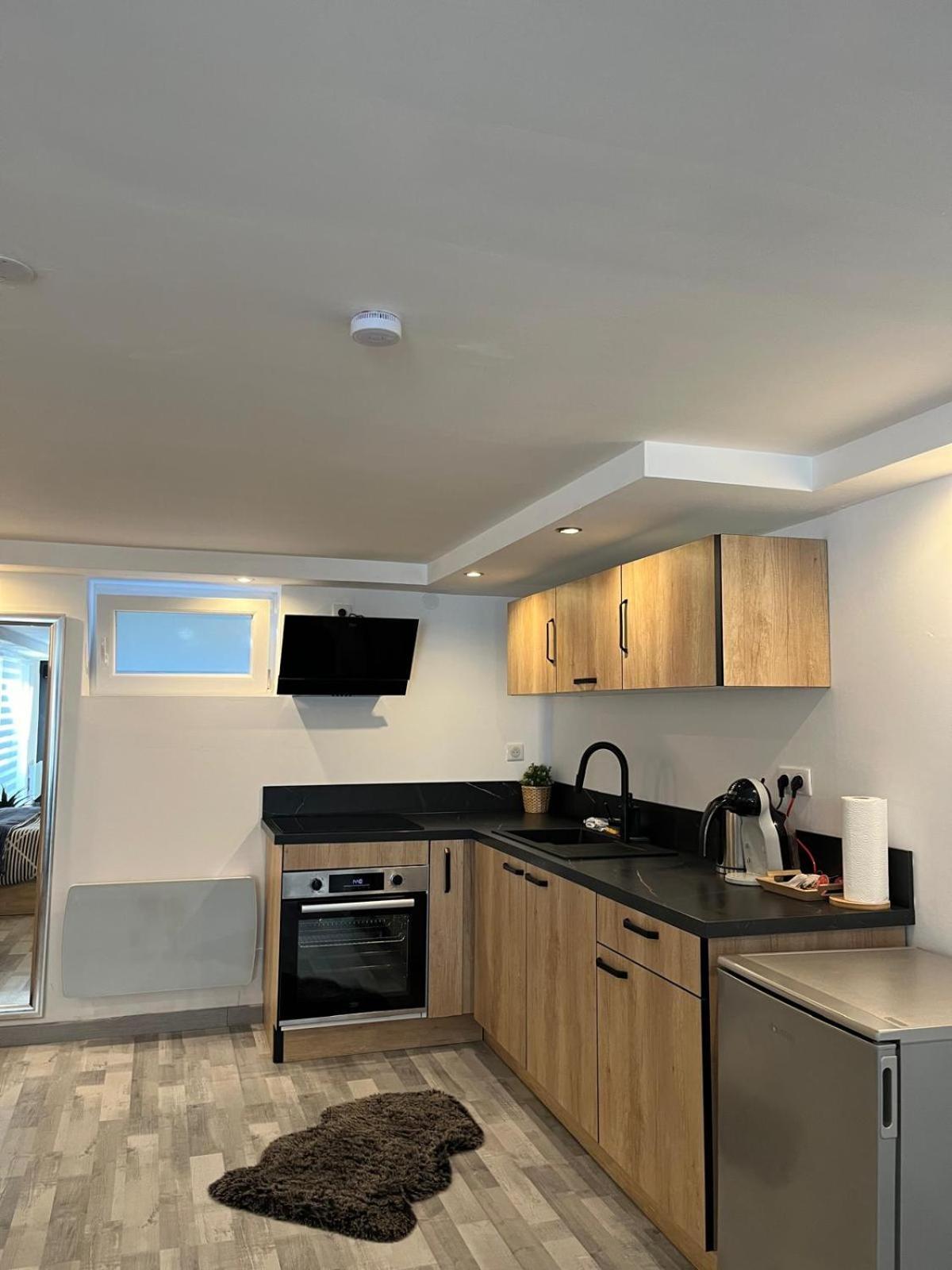 Tres Bel Appartement Type Loft De 40 M2 Dans Maison Avec Parking Privatif Lingolsheim Extérieur photo
